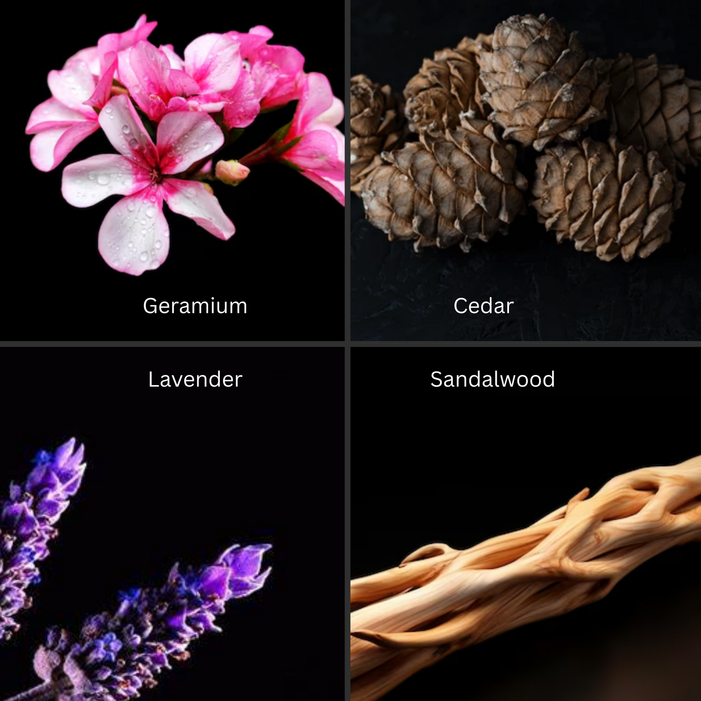 Car Diffuser - For Him (Full Collection)