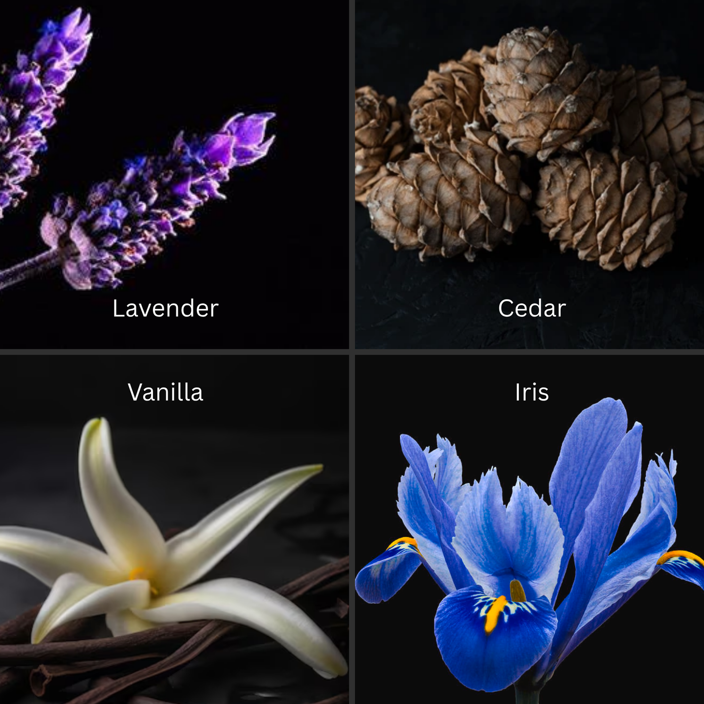 Car Diffuser - For Him (Full Collection)