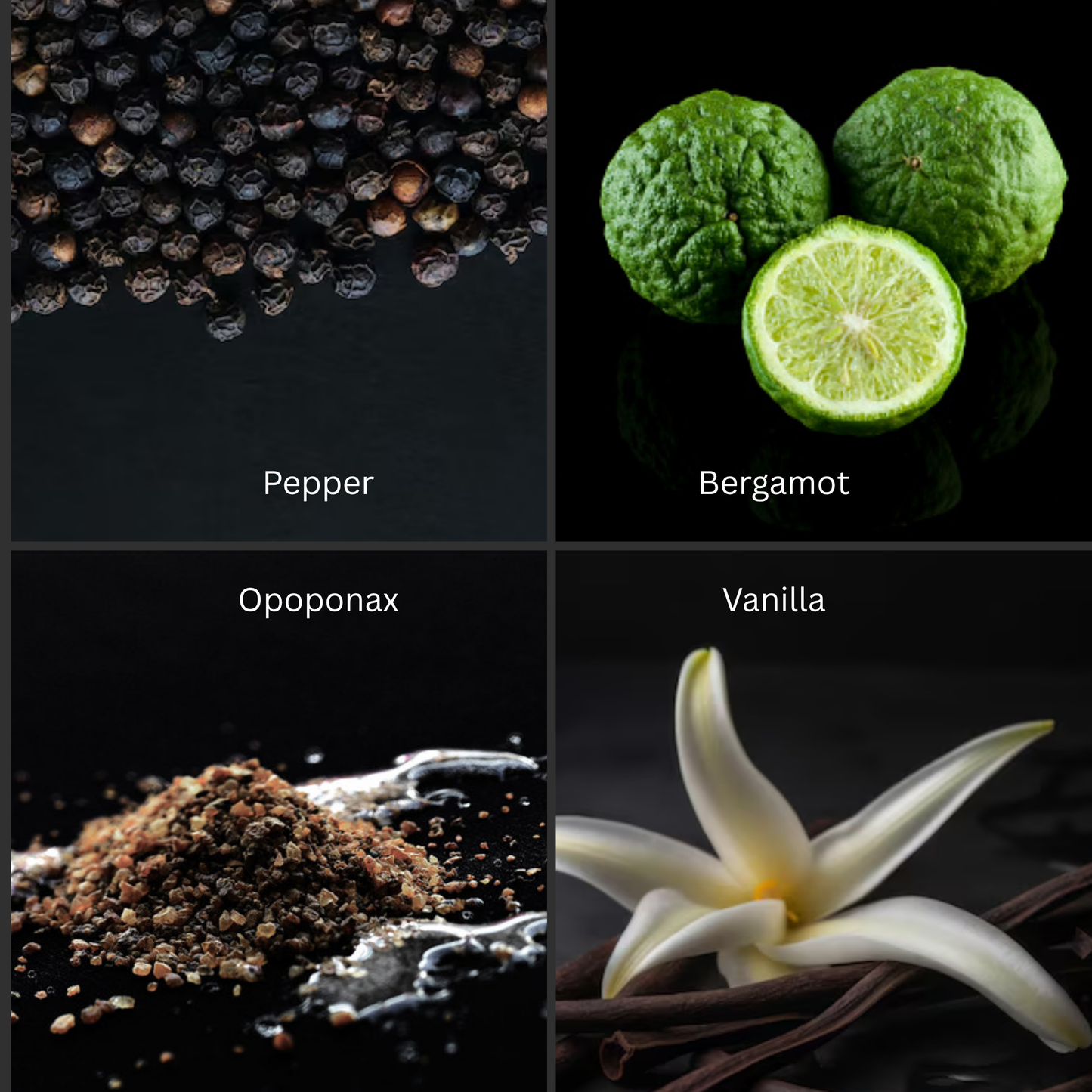 Car Diffuser - For Him (Full Collection)